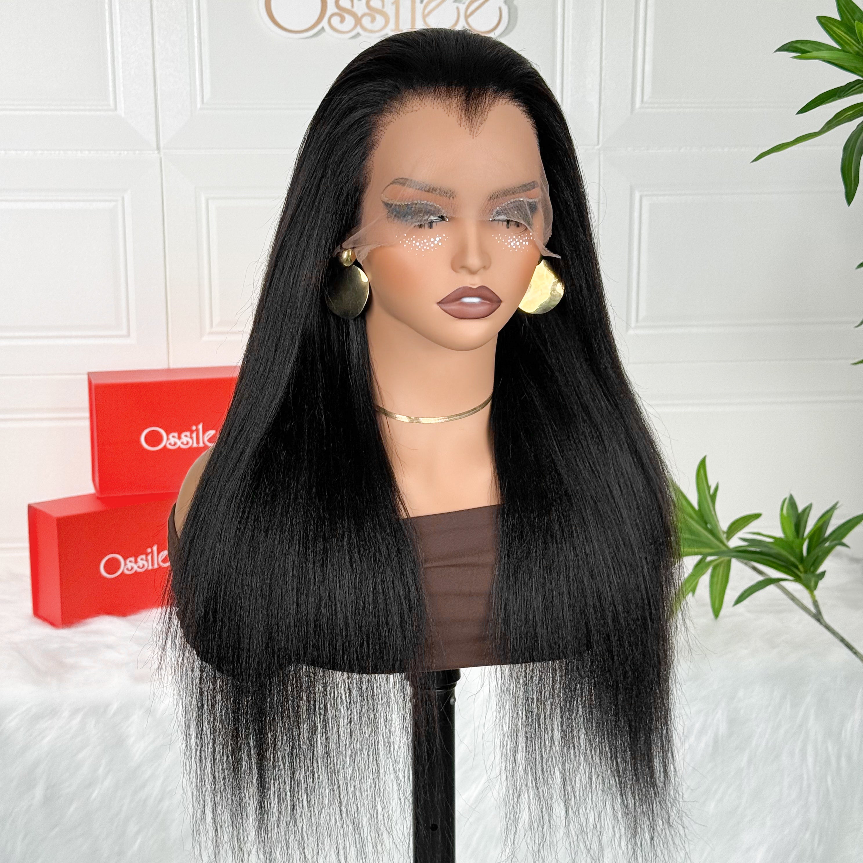Luxury 360 Lace Yaki Straight Human Hair Wig with Natural Widow Peak Hairline