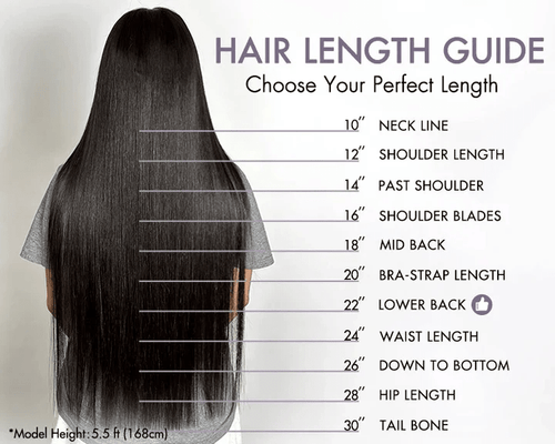 Ossileehair  Straight Hair BOB Full Frontal 13X4 #P4/27 100% Human Hair
