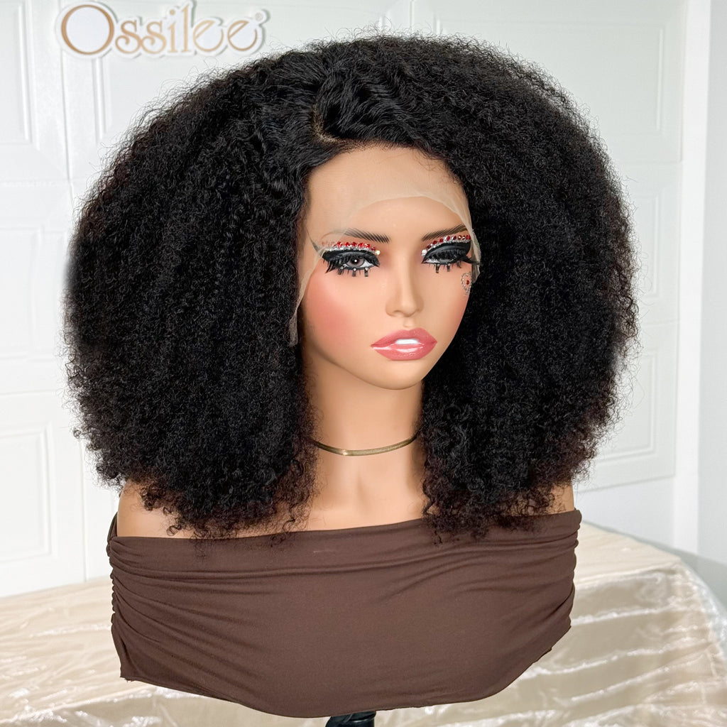 Luxury High Density Afro Curl 13x4 Frontal Wig Full & Fluffy Human Hair Wig